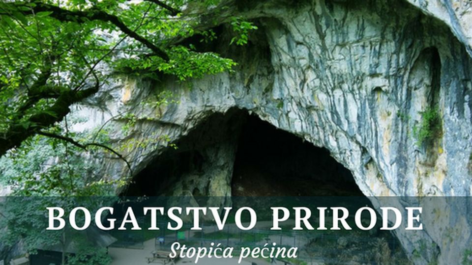 Stopica Pecina
